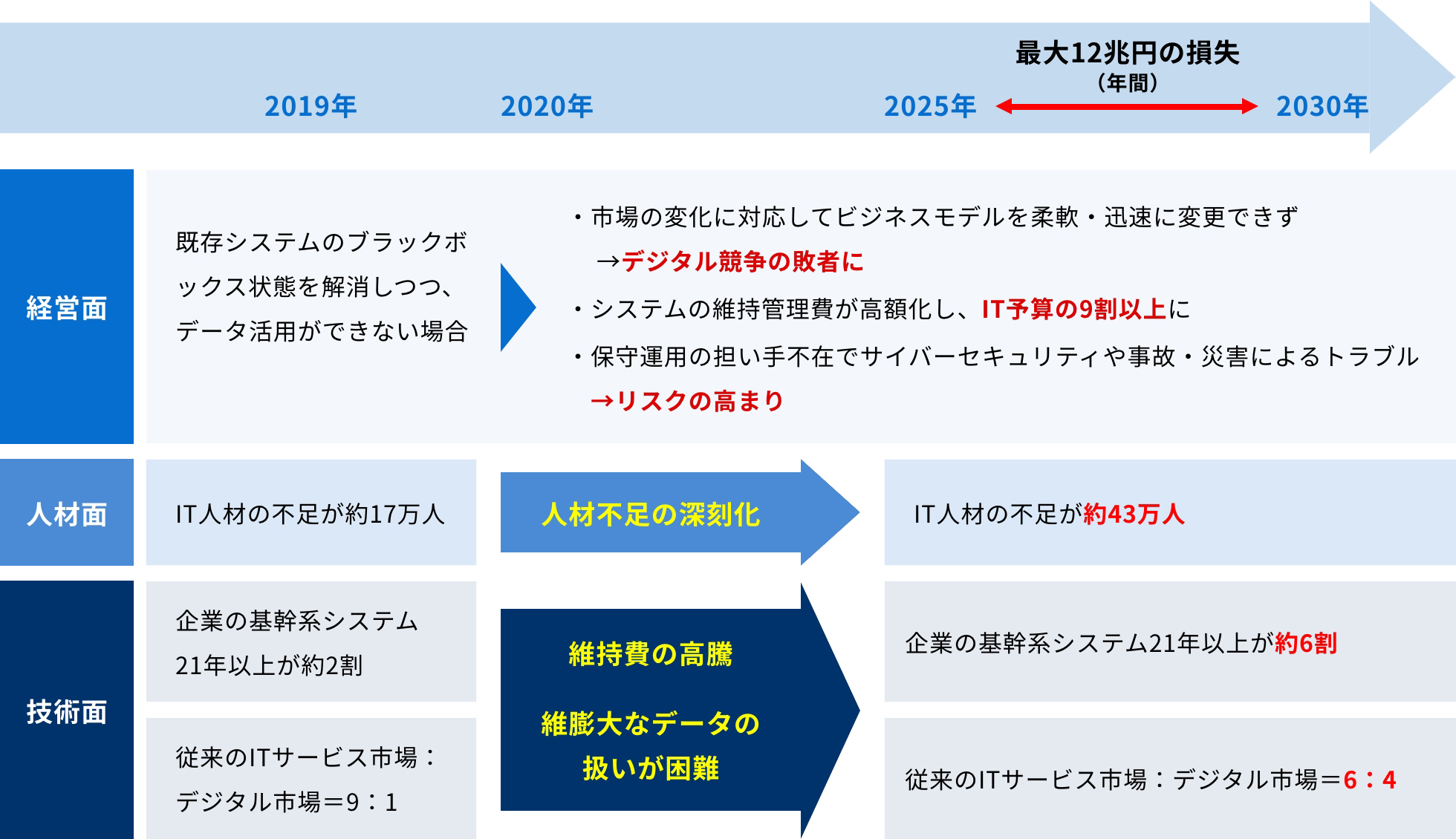 「2025年の崖」の概要図
							